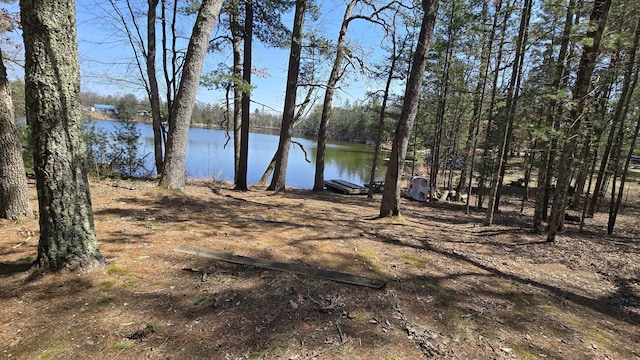 property view of water