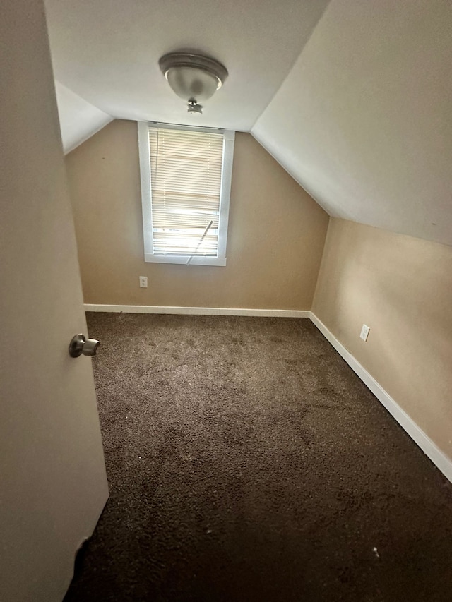 15913 Petoskey Ave, Detroit, MI 48238 - additional living space with baseboards, carpet, and lofted ceiling