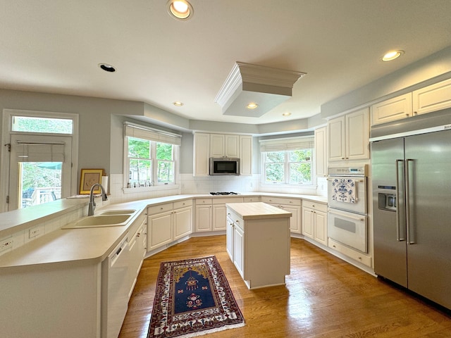 kitchen featuring stainless steel appliances, light countertops, a sink, and a healthy amount of sunlight