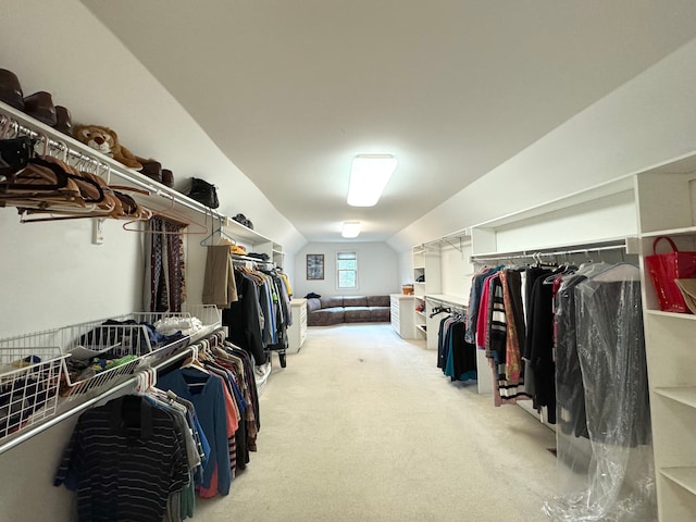 spacious closet with carpet