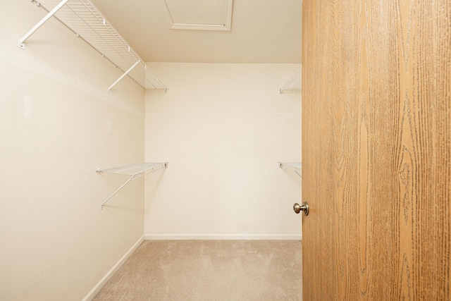 spacious closet featuring carpet flooring