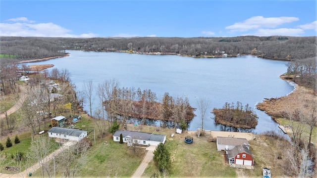 bird's eye view featuring a forest view and a water view
