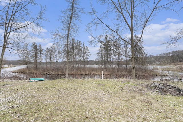 view of yard with a water view