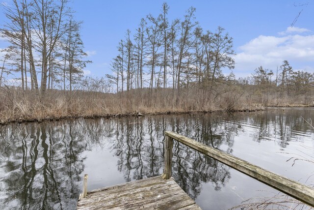 dock area with a water view
