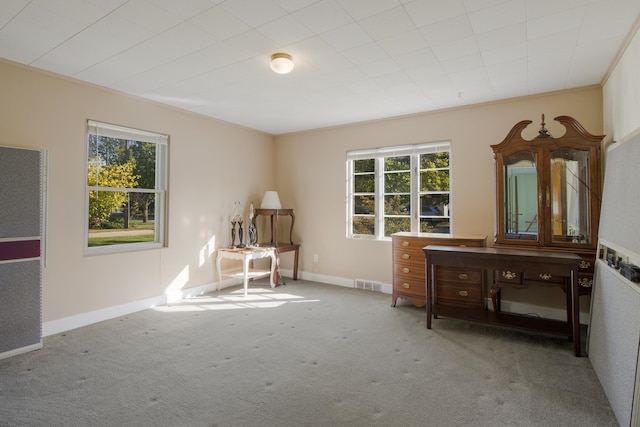 312 Pine St, Elk Rapids, MI 49629 - photo 22
