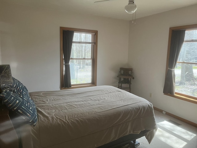 34722 36th Ave, Paw Paw, MI 49079 - carpeted bedroom featuring multiple windows and baseboards