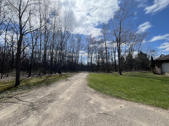 34722 36th Ave, Paw Paw, MI 49079 - view of road