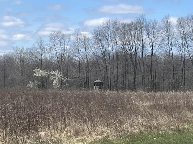 34722 36th Ave, Paw Paw, MI 49079 - view of nature