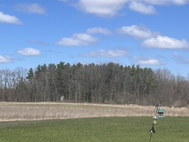 34722 36th Ave, Paw Paw, MI 49079 - view of property's community featuring a view of trees and a yard