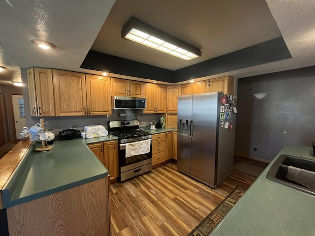 34722 36th Ave, Paw Paw, MI 49079 - kitchen with appliances with stainless steel finishes, light wood-style floors, a sink, and a tray ceiling