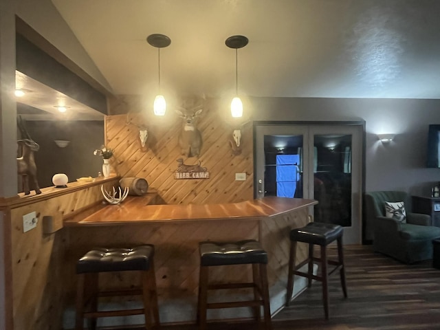 34722 36th Ave, Paw Paw, MI 49079 - indoor bar with dark wood finished floors, vaulted ceiling, and pendant lighting