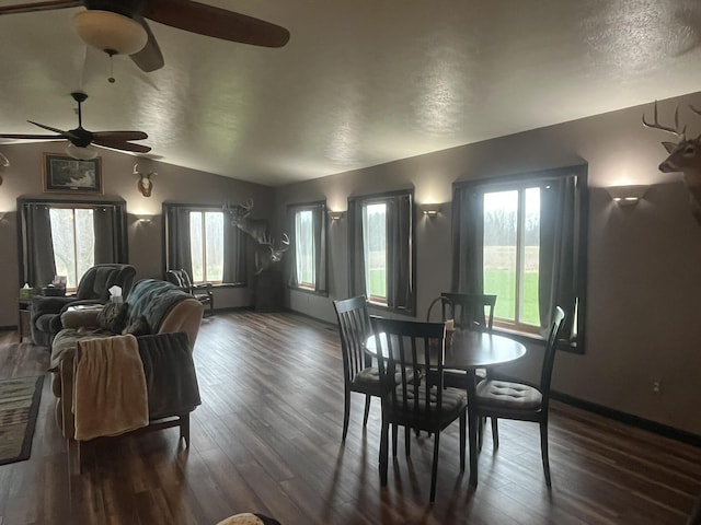 34722 36th Ave, Paw Paw, MI 49079 - dining room with a ceiling fan, healthy amount of natural light, dark wood-type flooring, lofted ceiling, and a textured ceiling