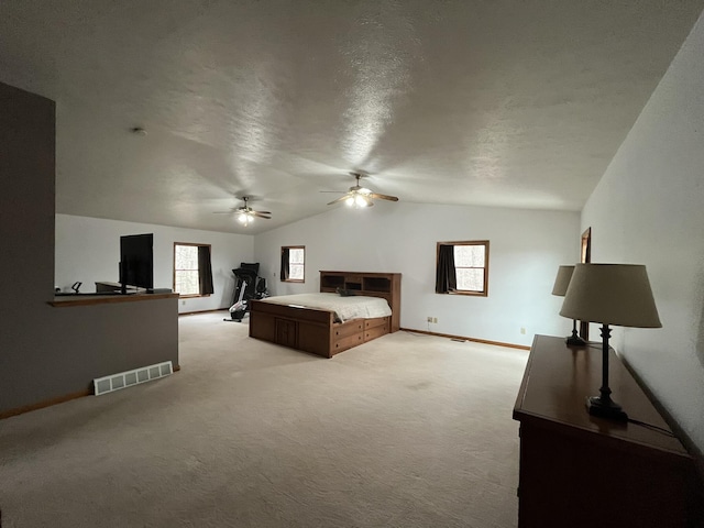 34722 36th Ave, Paw Paw, MI 49079 - bedroom with vaulted ceiling, light colored carpet, baseboards, a ceiling fan, and a textured ceiling