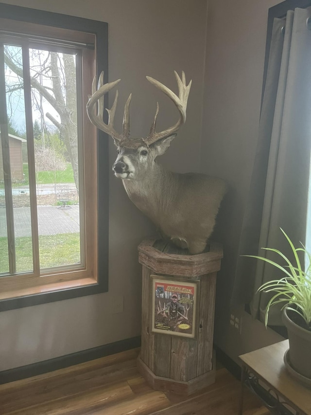 34722 36th Ave, Paw Paw, MI 49079 - detailed view of wood finished floors