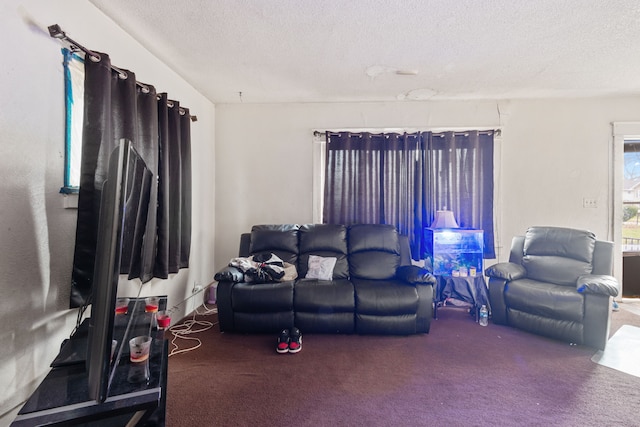 carpeted living area featuring a textured ceiling