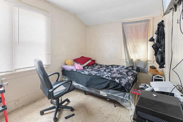 carpeted bedroom with vaulted ceiling