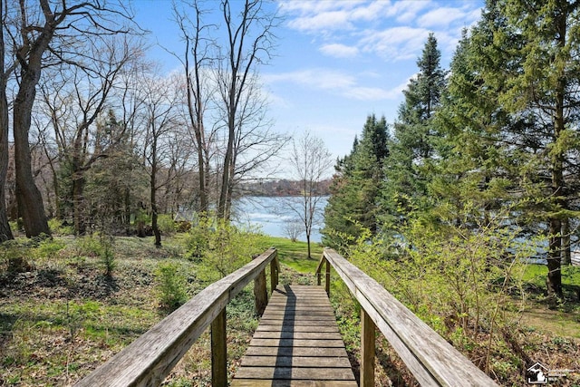 dock area with a water view
