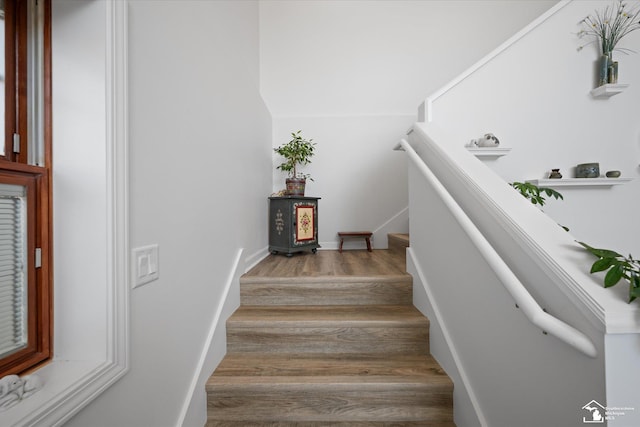 staircase featuring wood finished floors