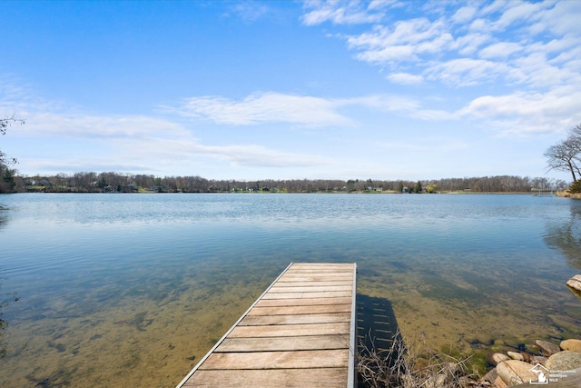view of dock featuring a water view