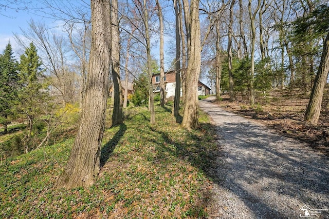 view of road with gravel driveway