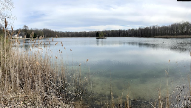 5652 N Lake Dr, Kimball, MI 48074 - water view with a forest