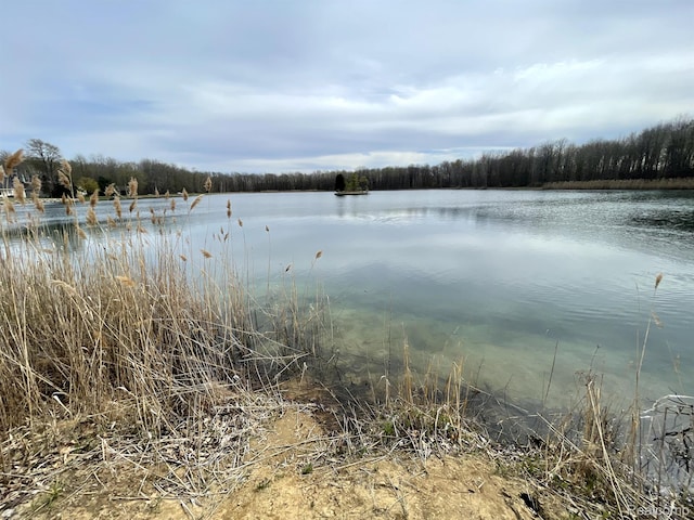 5652 N Lake Dr, Kimball, MI 48074 - water view