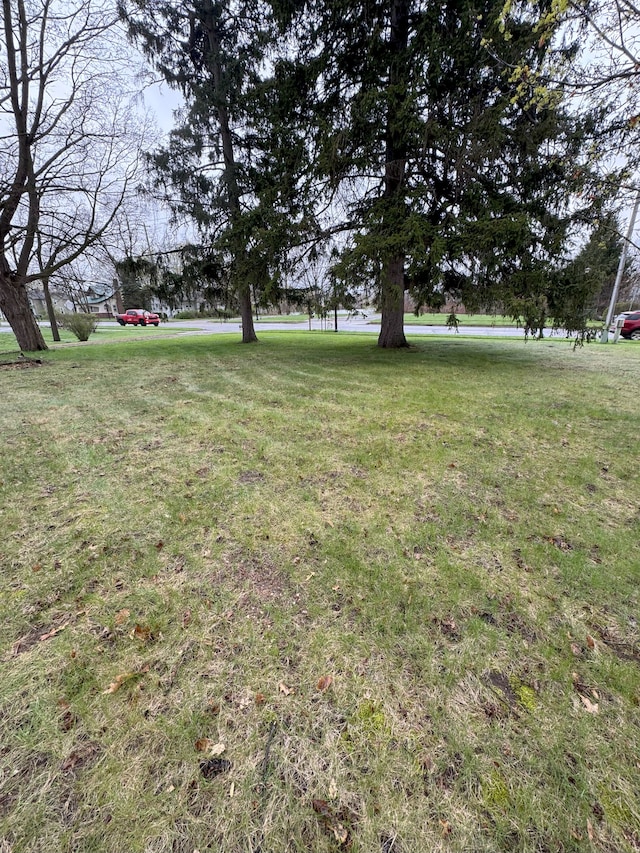 8083 S State Rd, Goodrich, MI 48438 - view of green lawn