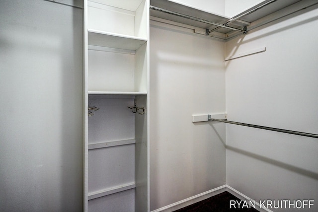 3076 Regency Pkwy, Zeeland, MI 49464 - view of walk in closet