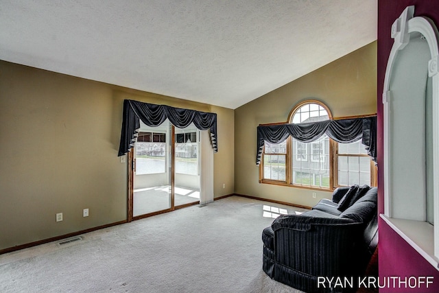 3076 Regency Pkwy, Zeeland, MI 49464 - living area with carpet flooring, a textured ceiling, baseboards, visible vents, and lofted ceiling