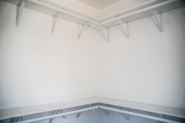 1024 Clinton Ave, Kalamazoo, MI 49001 - view of spacious closet
