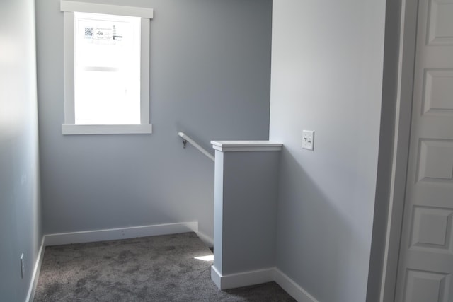 1024 Clinton Ave, Kalamazoo, MI 49001 - stairs with carpet and baseboards
