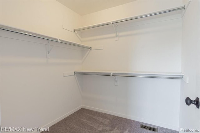 walk in closet with visible vents and carpet flooring