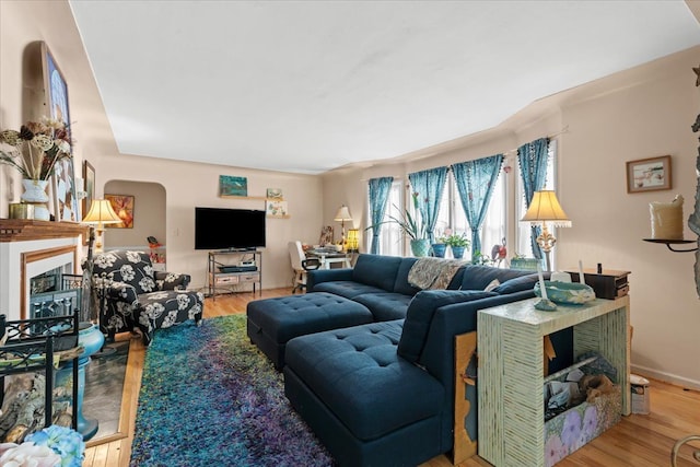 45520 Deshon St, Utica, MI 48317 - living room with wood finished floors and a fireplace