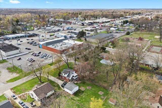45520 Deshon St, Utica, MI 48317 - birds eye view of property