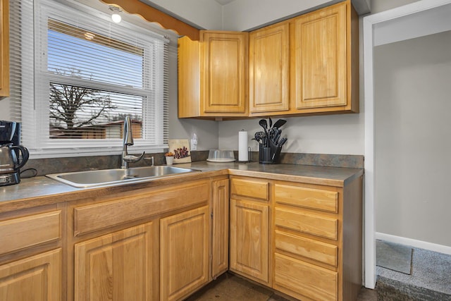 kitchen featuring a sink