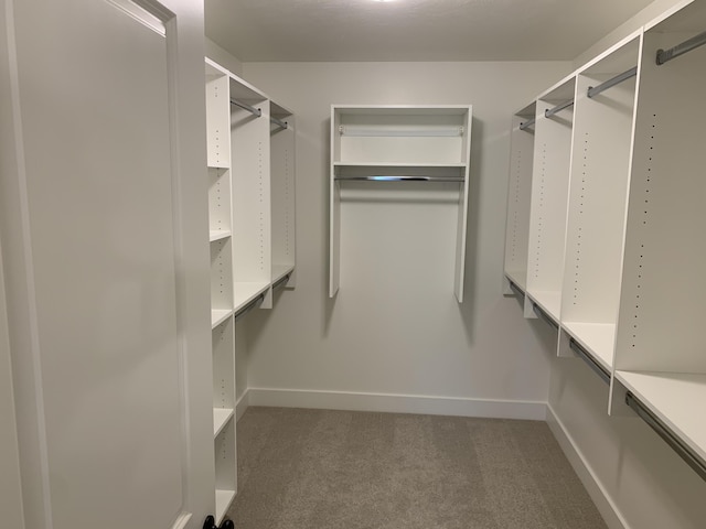 1060 N Wahington St, Lowell, MI 49331 - spacious closet featuring carpet