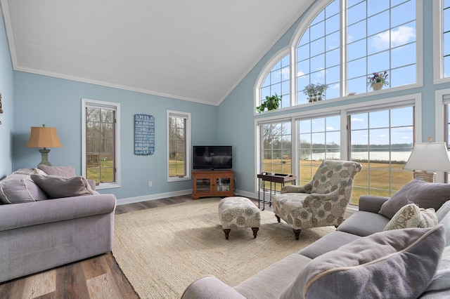 living room with crown molding, wood finished floors, high vaulted ceiling, and baseboards