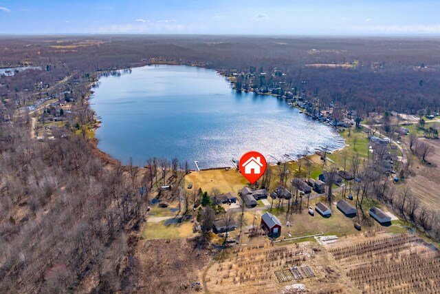 drone / aerial view featuring a view of trees and a water view