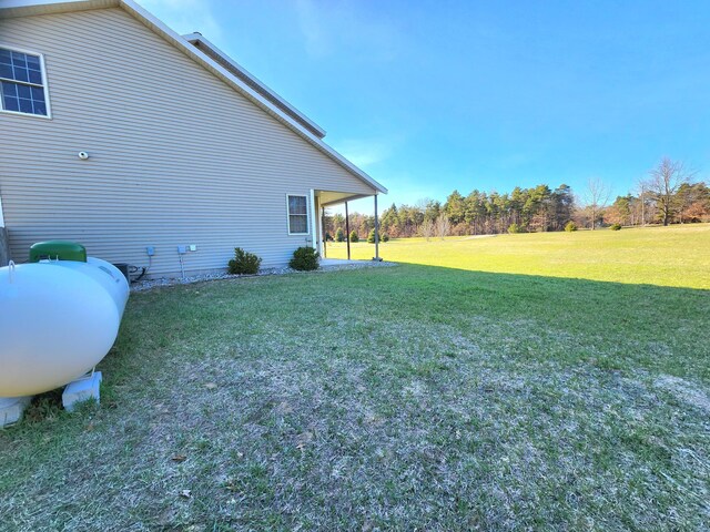 6039 W Morris Lake Rd, Mears, MI 49436 - view of yard