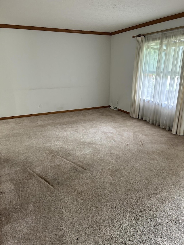 4 Grady Ct, Coldwater, MI 49036 - spare room with carpet floors, crown molding, and a textured ceiling