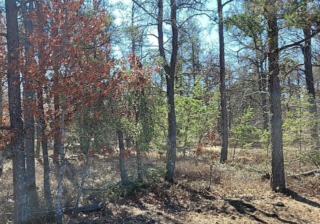 SITE6 Lumberjack Ct, Grayling, MI 49738 - photo 4