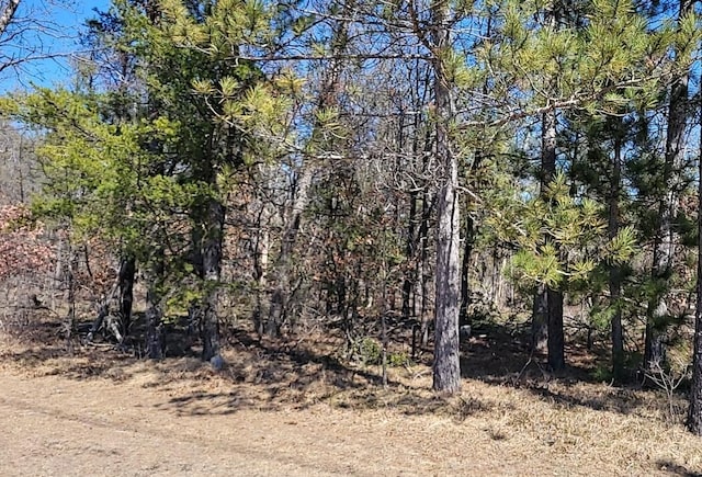 SITE6 Lumberjack Ct, Grayling, MI 49738 - photo 1