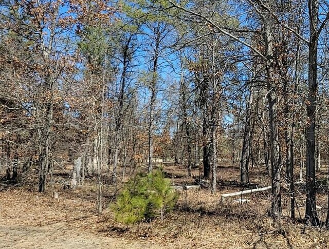 SITE6 Lumberjack Ct, Grayling, MI 49738 - photo 2