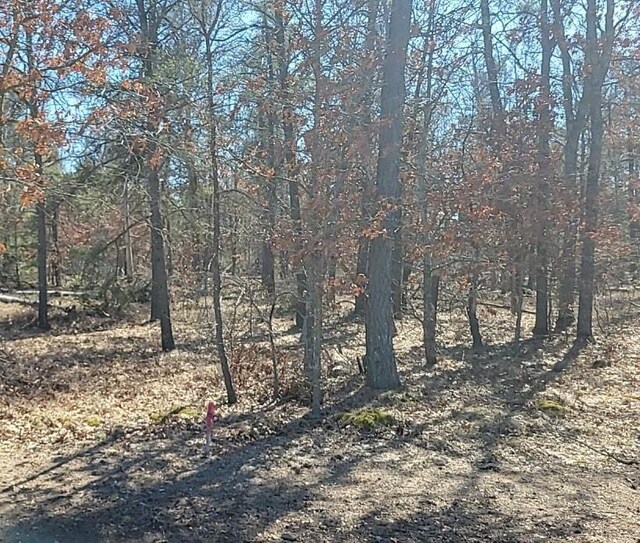 SITE6 Lumberjack Ct, Grayling, MI 49738 - photo 3
