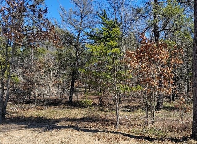SITE6 Lumberjack Ct, Grayling, MI 49738 - photo 5