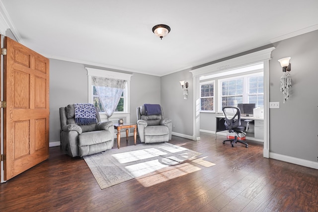 interior space featuring baseboards, a wealth of natural light, dark wood-type flooring, and ornamental molding