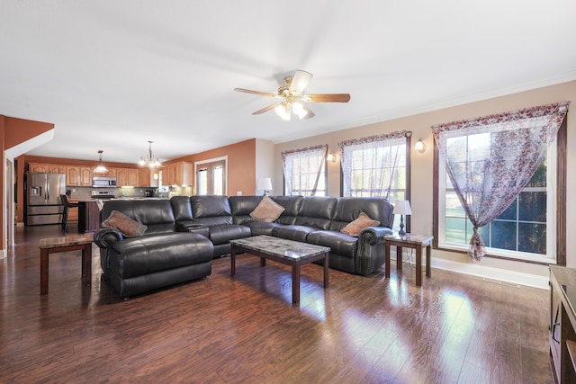 living area featuring visible vents, ornamental molding, dark wood-type flooring, baseboards, and ceiling fan with notable chandelier