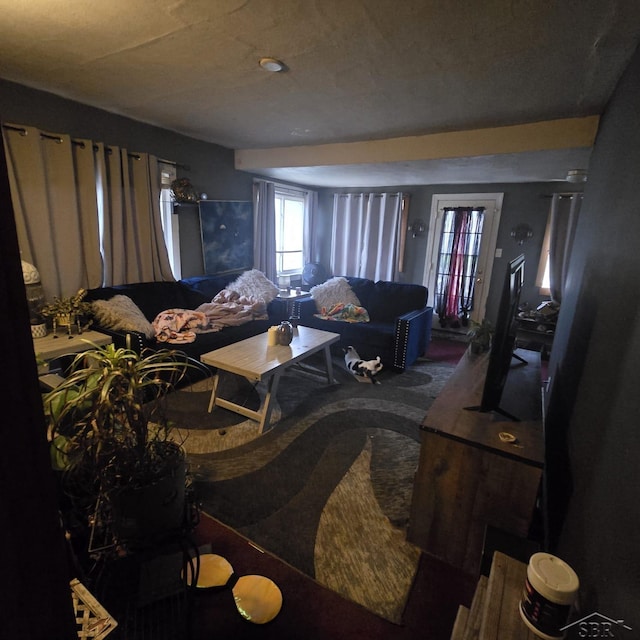 view of carpeted living area