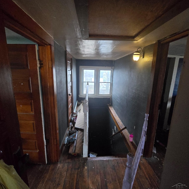 stairway featuring hardwood / wood-style floors