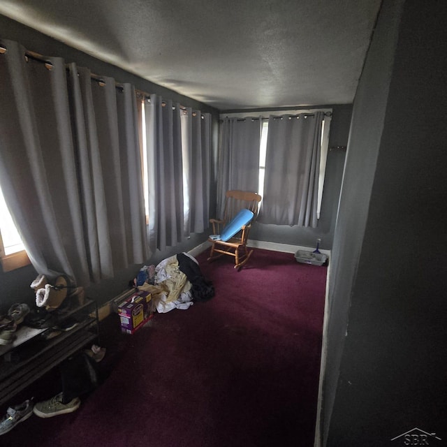 interior space with plenty of natural light, baseboards, carpet flooring, and a textured ceiling